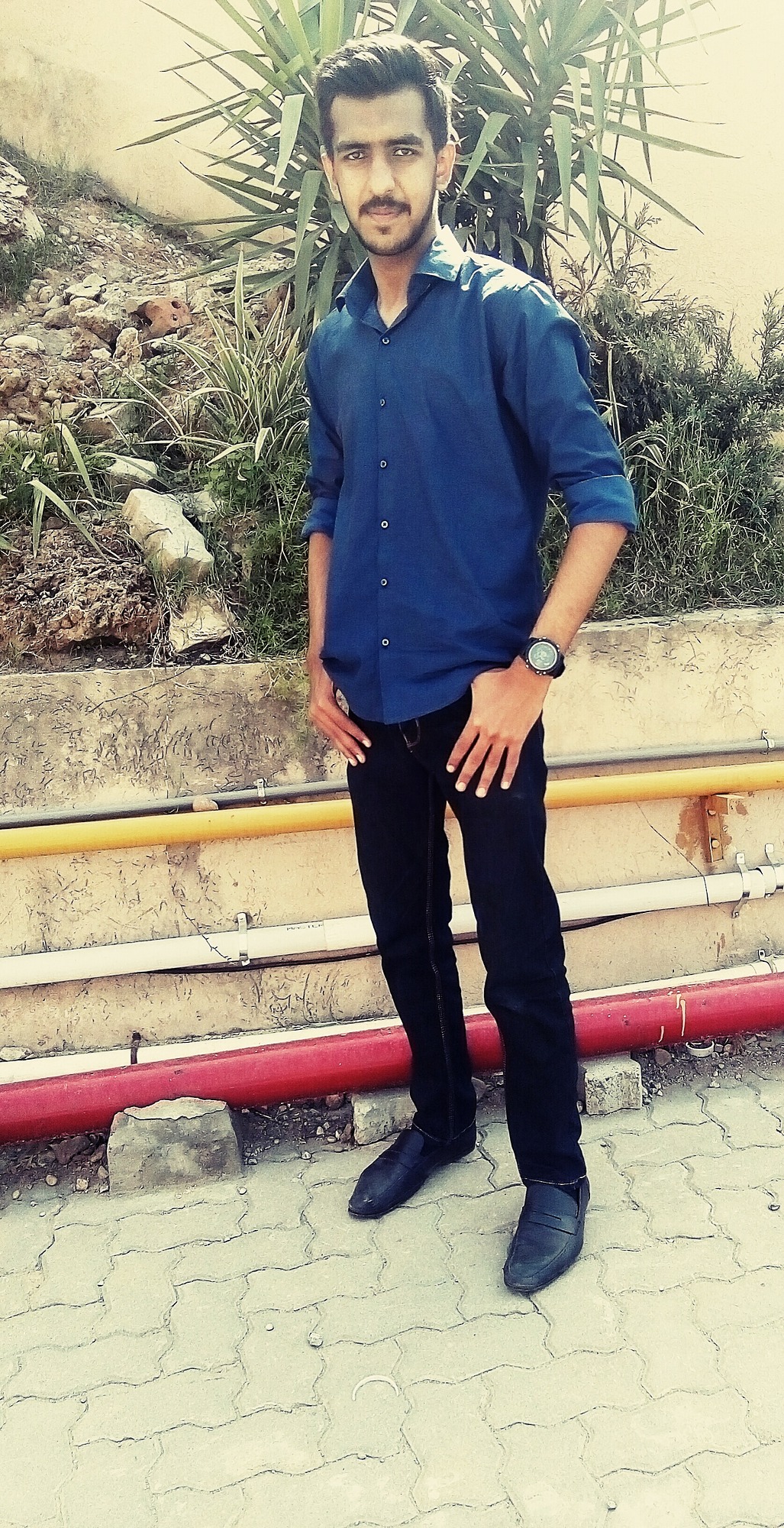 Syed Taimoor ALi